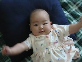 我要飞