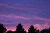 CRW_0748.JPG