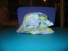 hat1.jpg
