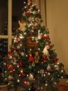 tree.JPG