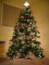 DSC03942.JPG
