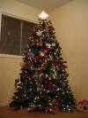 DSC04044.JPG