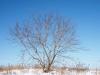 CRW_0314.jpg